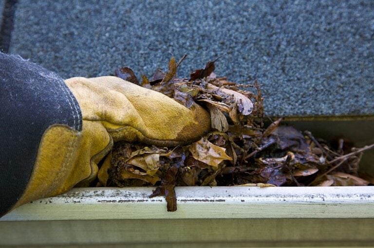 Roof and gutter cleaning for fire and storm safety