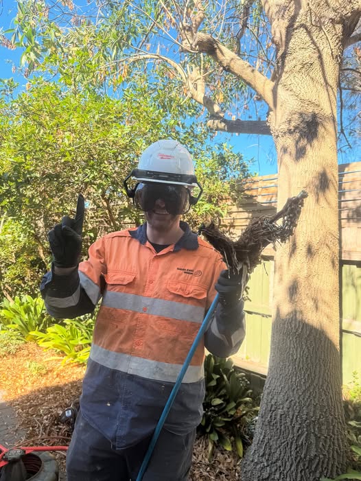 Plumber clearing a blocked drain at a Knoxfield property