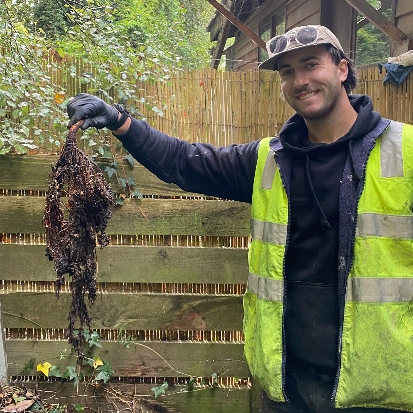 plumber for blocked drains tree root